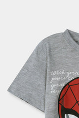 Boys Grey Spider Man Tee