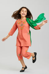 Cotton Embroidered  3 Pcs Suit With Net Dupatta